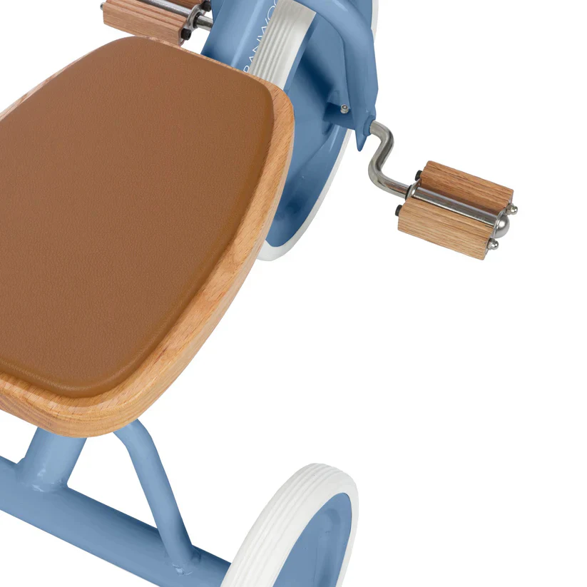 Banwood Trike - Blue - Image 4