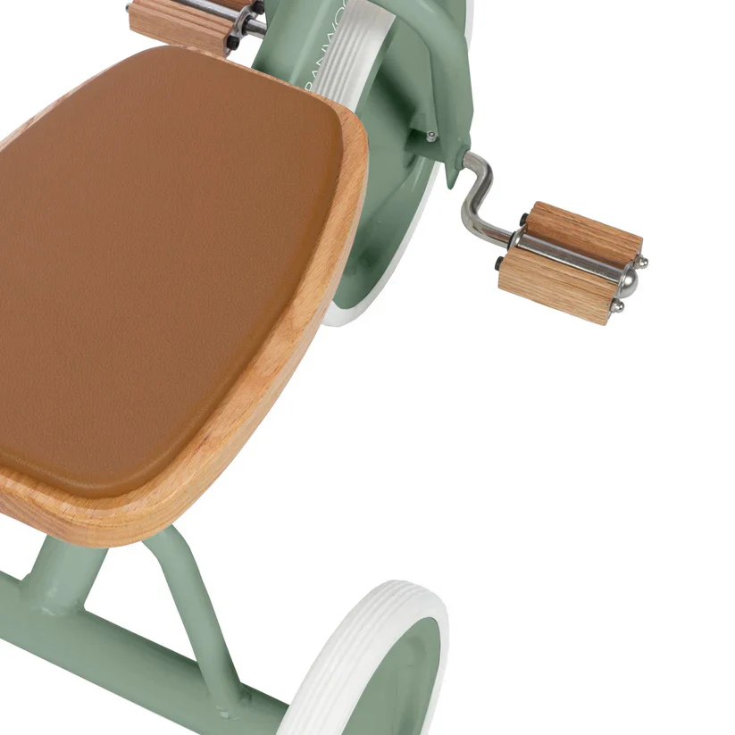 Banwood Trike - Forest - Image 3