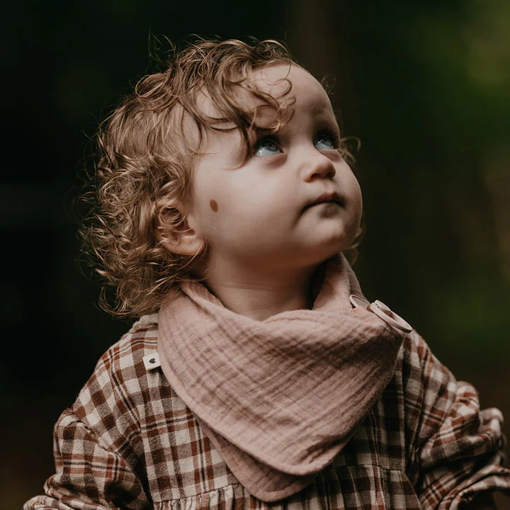 Personalised Bibs Bandana Bib - Blush - Image 3