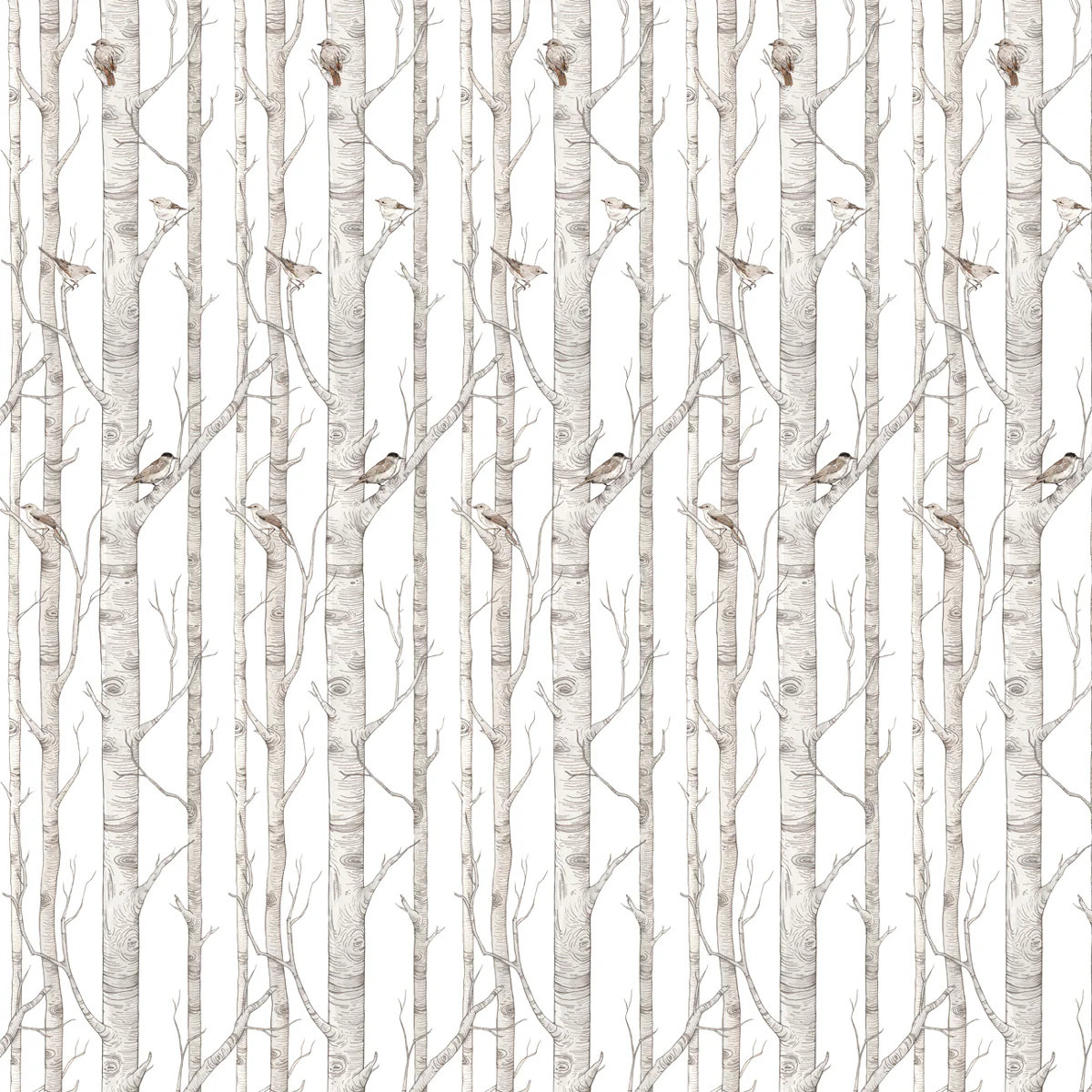 Birch Forest Wallpaper - Image 3