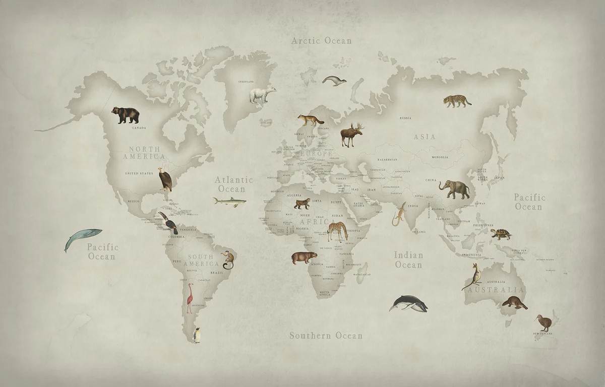 Kids Custom Wall Mural - Animal World Map - Image 4
