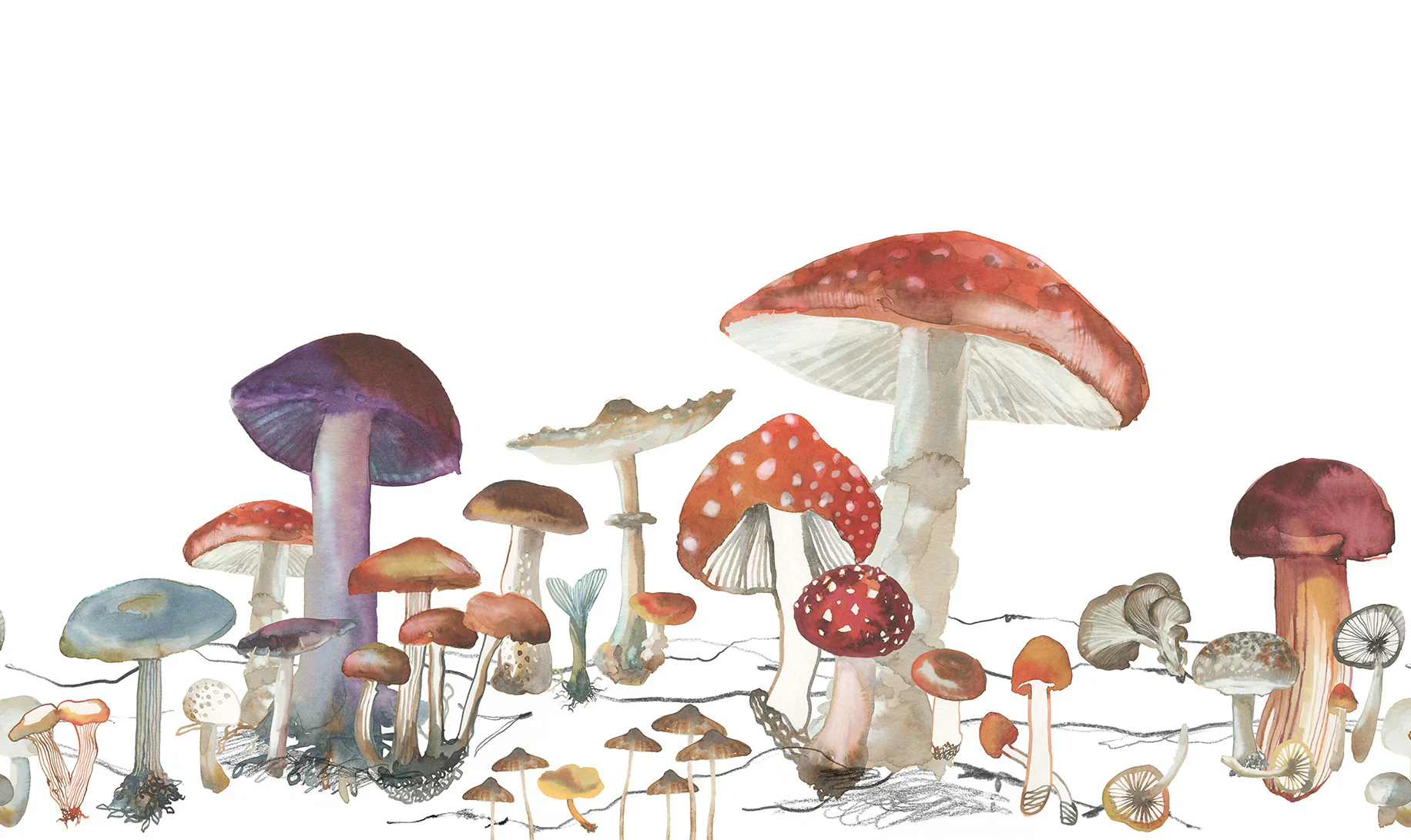 Kids Custom Wall Mural - Woods Of Wonder - Image 5