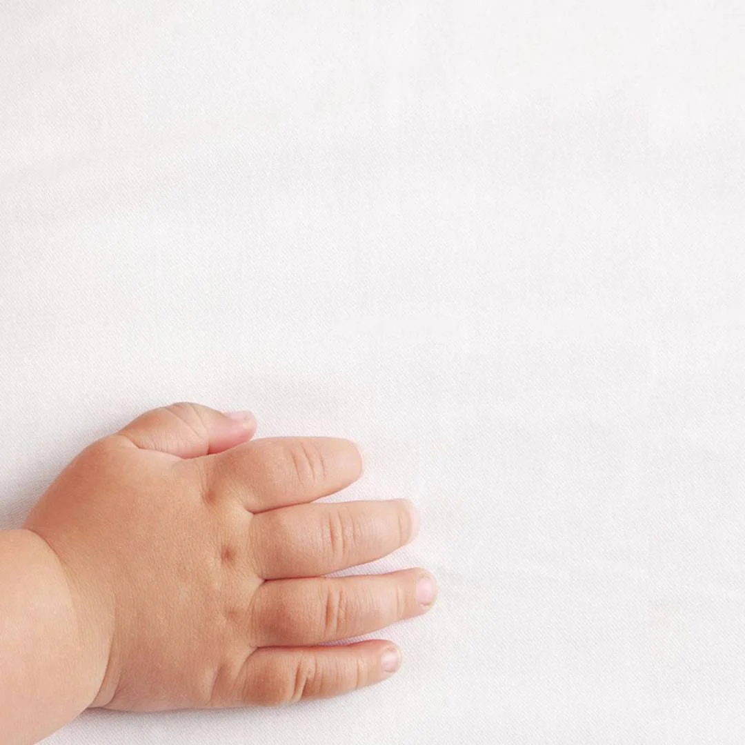 Little Green Sheep Organic Jersey Fitted Sheet - Crib - Image 3