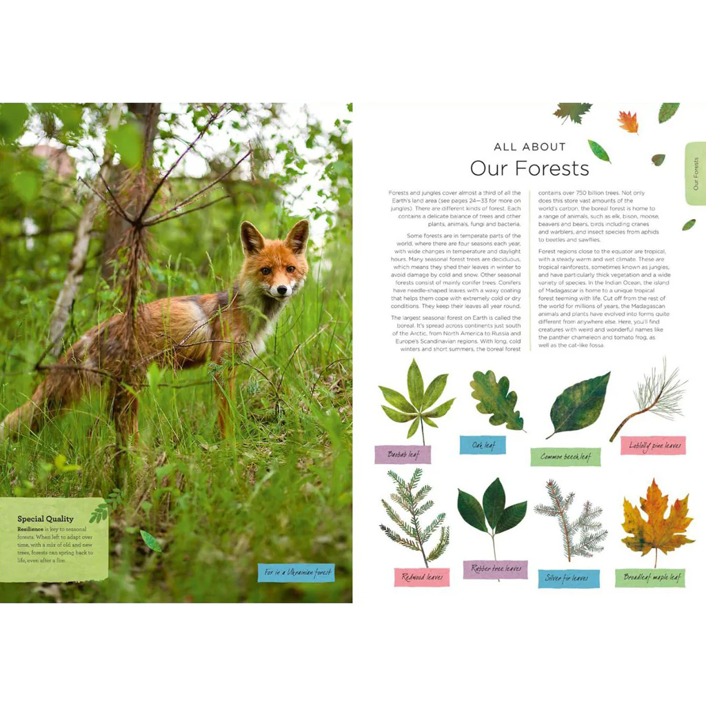 Our Planet - Nature Book - Image 2