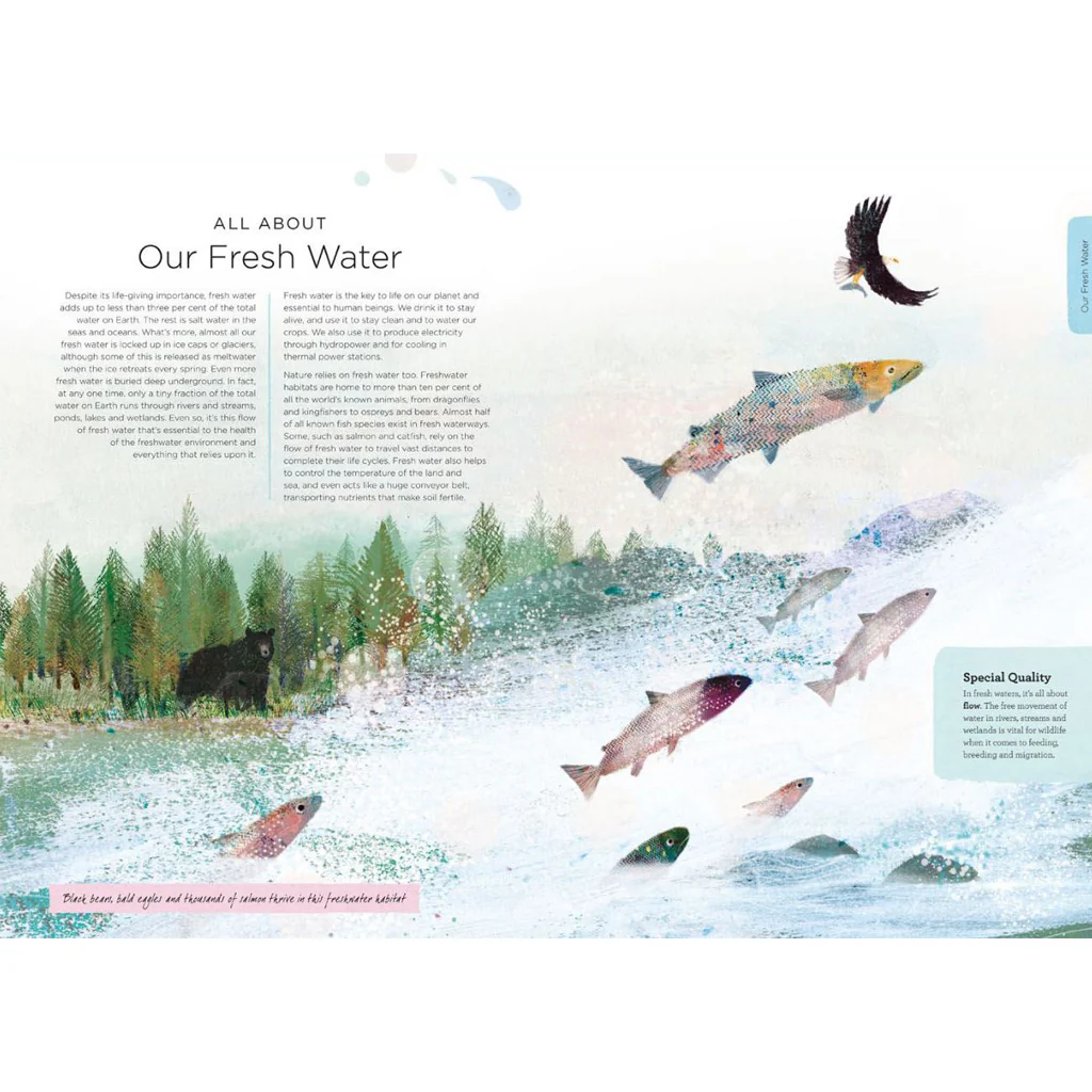 Our Planet - Nature Book - Image 3