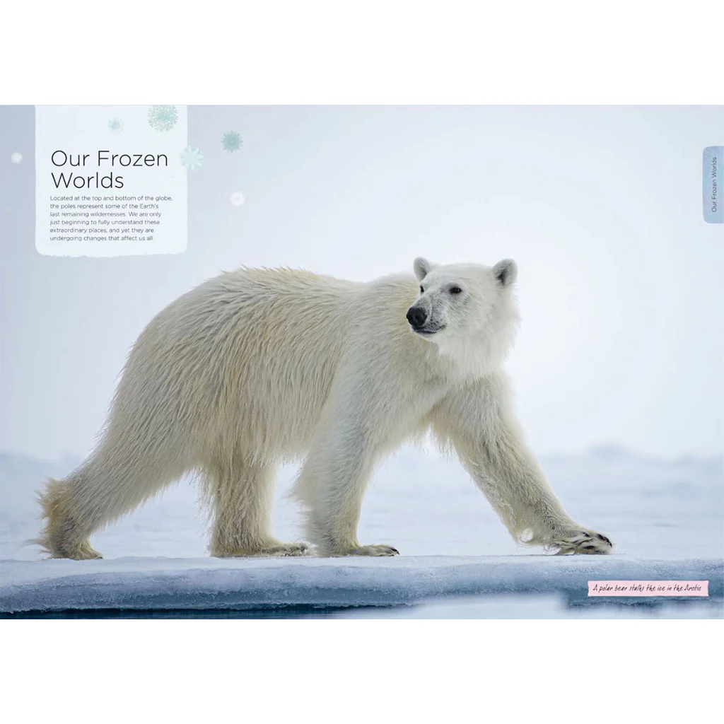 Our Planet - Nature Book - Image 5