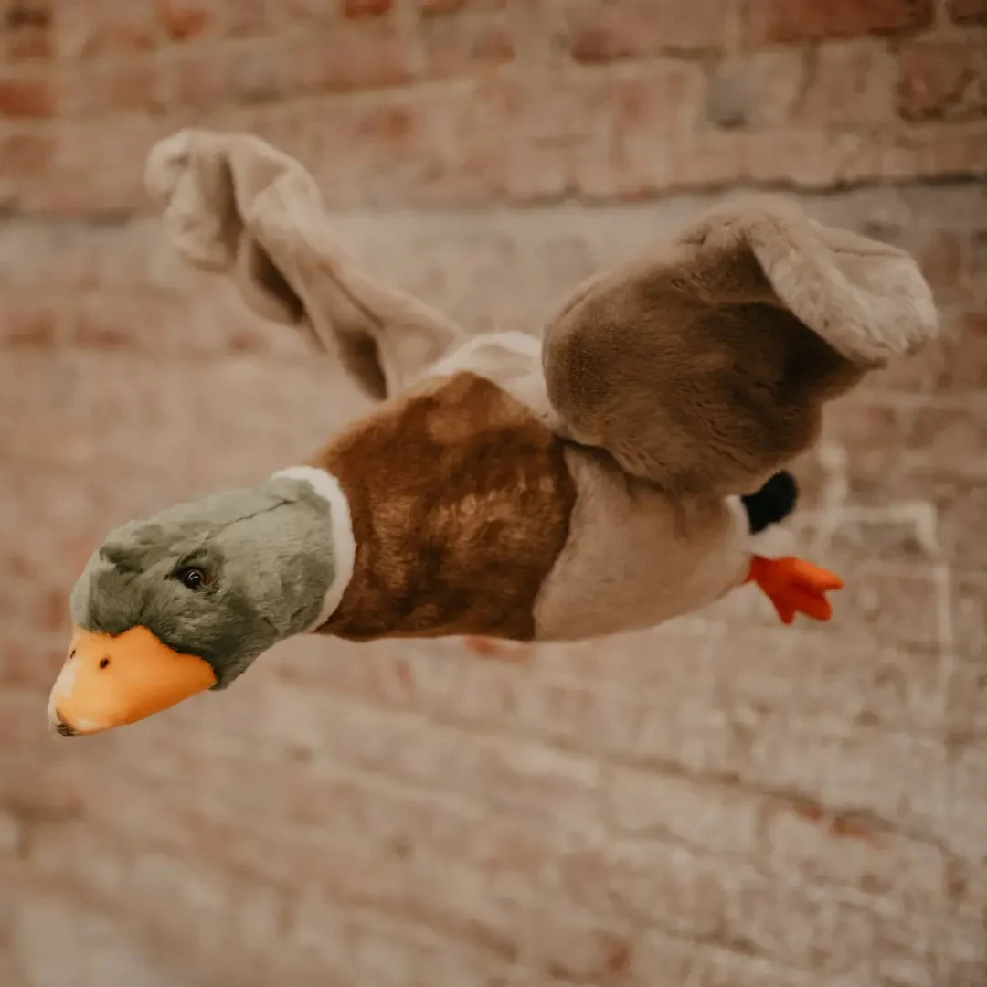 Wild & Soft Alain The Flying Duck - Image 3