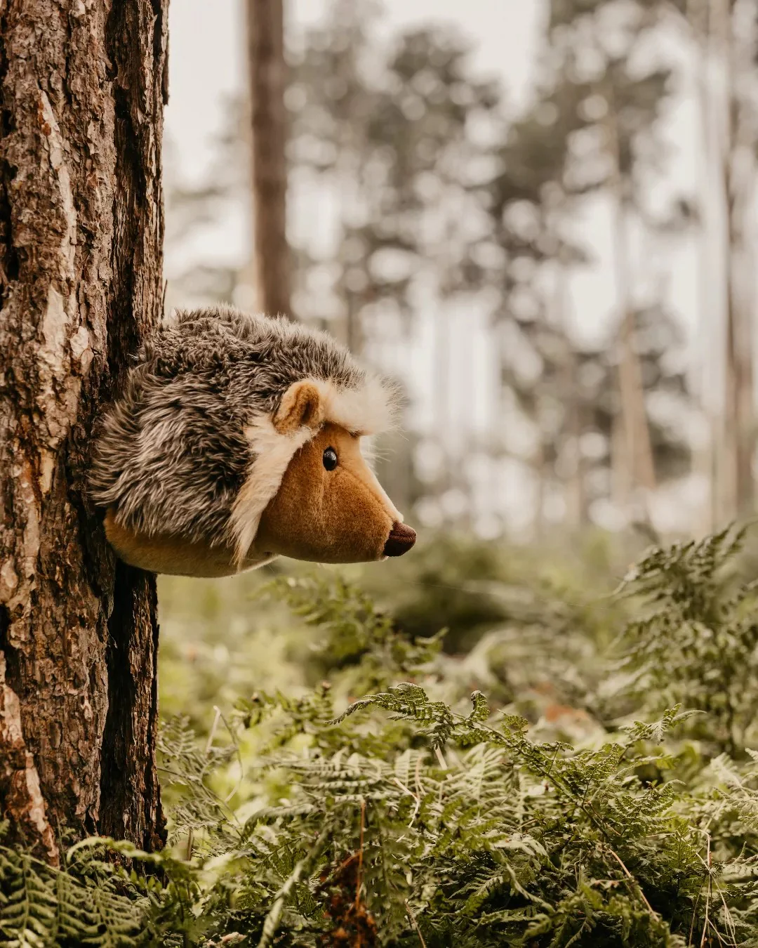 Wild & Soft X Josh & Jenna - Jenna The Hedgehog - Image 3