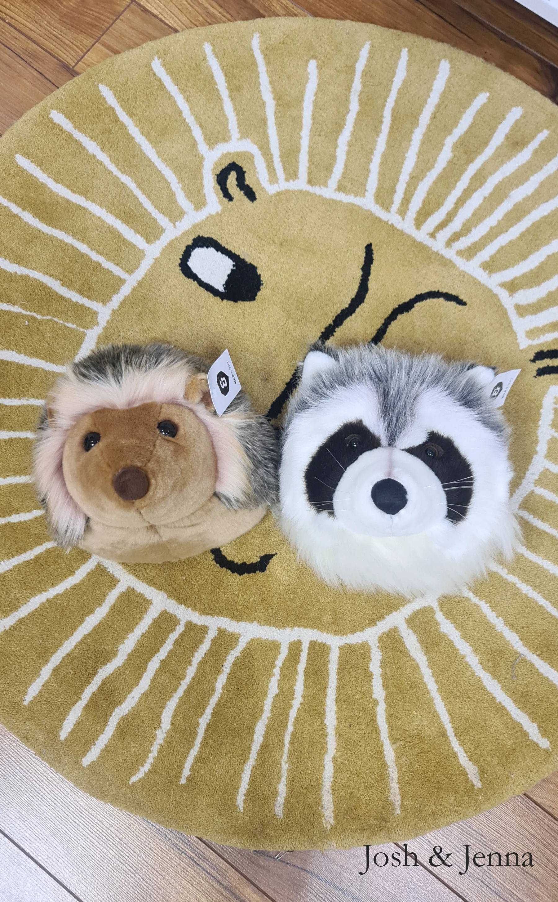 Wild & Soft X Josh & Jenna - Josh The Raccoon - Image 3