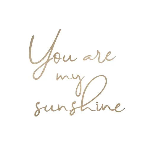 Wooden Wall Sign - You Are My Sunshine - Image 3